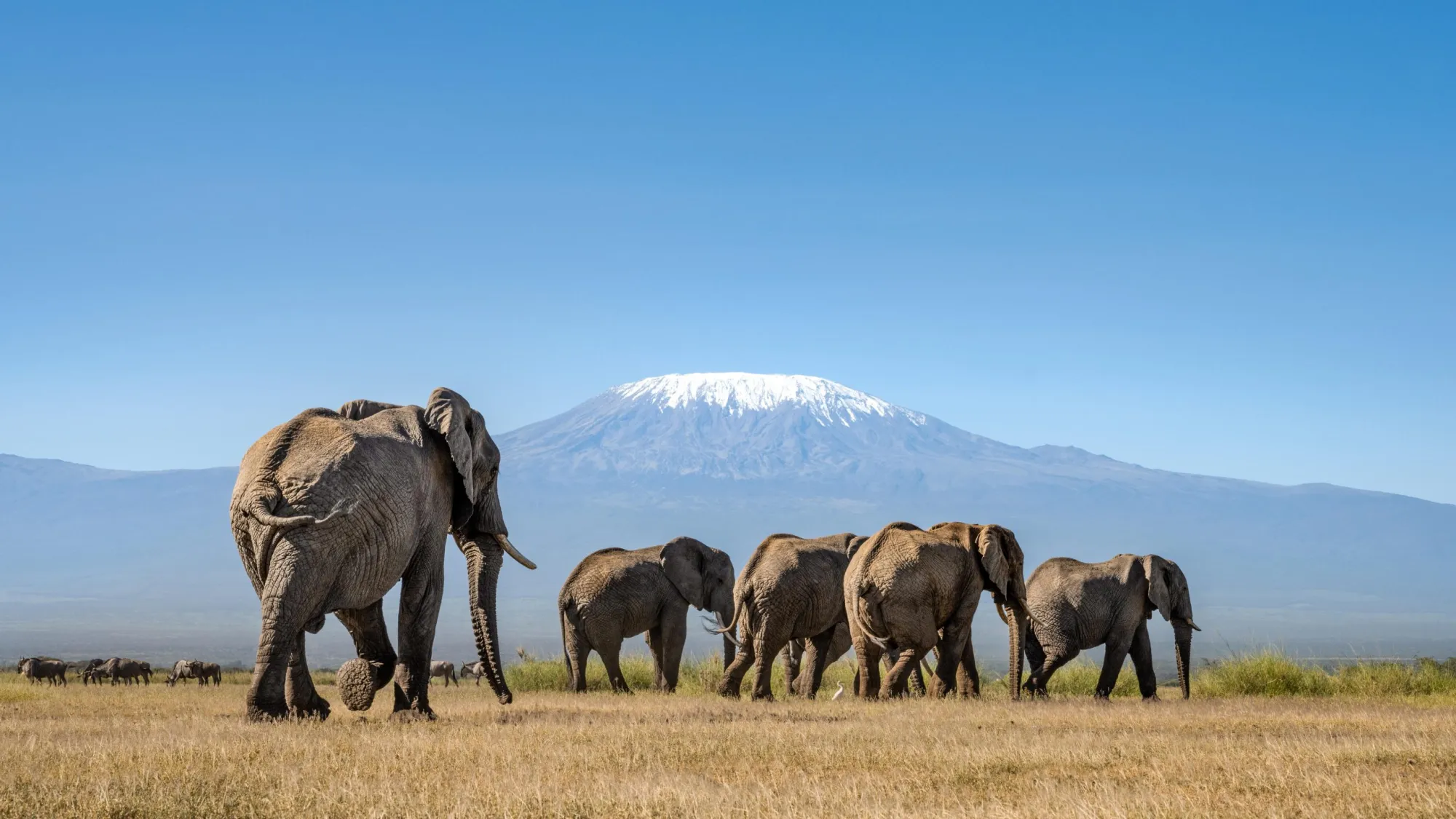 Kenya