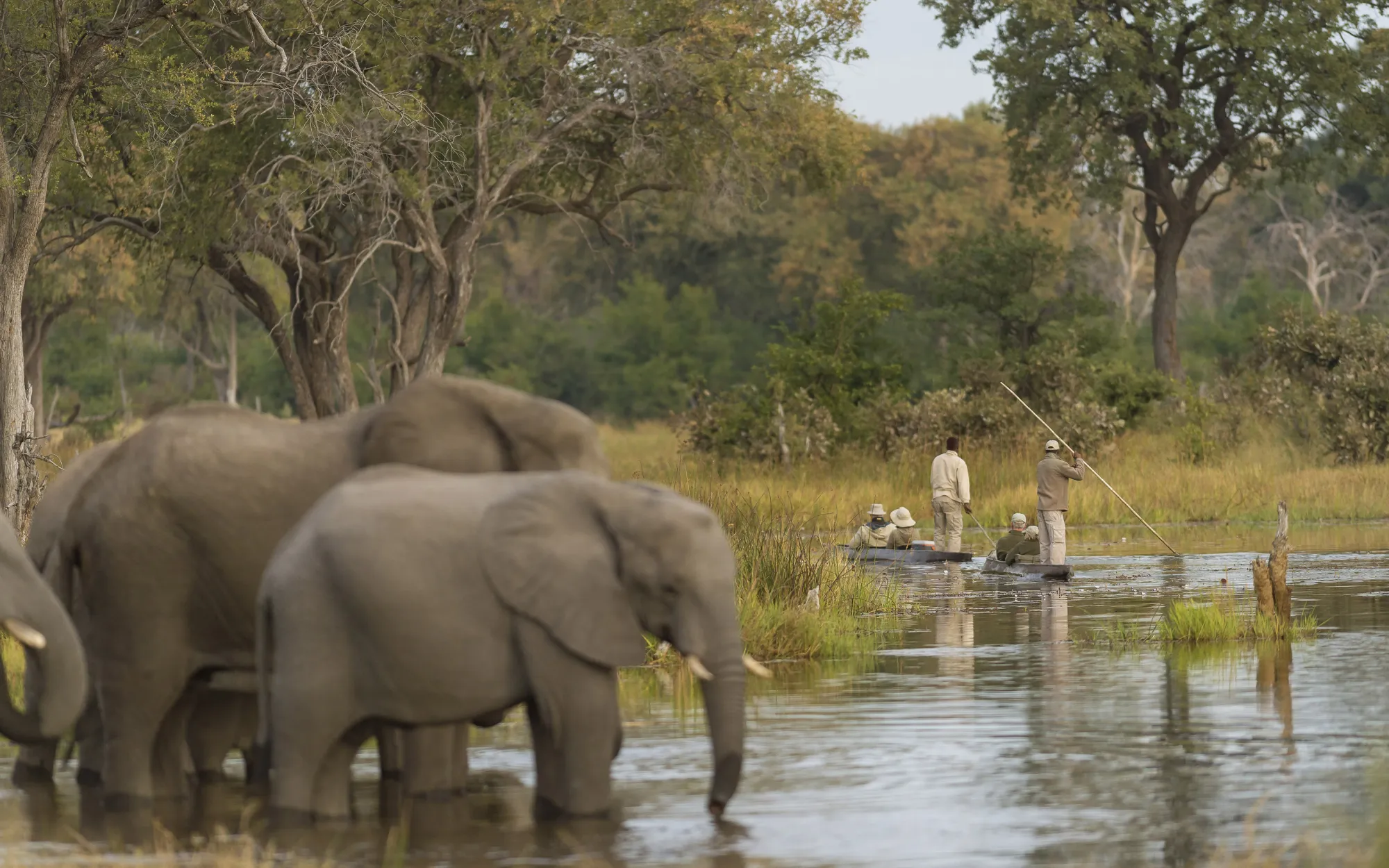 An Expedition into the Okavango Delta