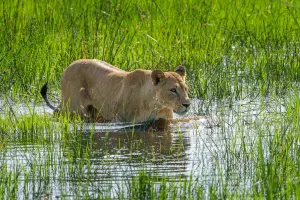A Journey Through Southern Africa