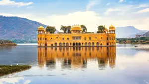 The Great Indian Safari