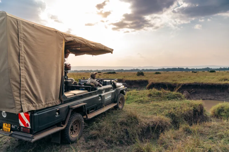 How Do I Choose a Safari Guide?