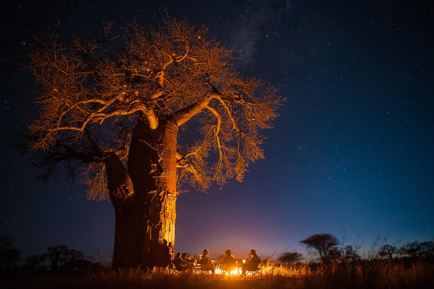 How do I choose a safari operator I can trust?
