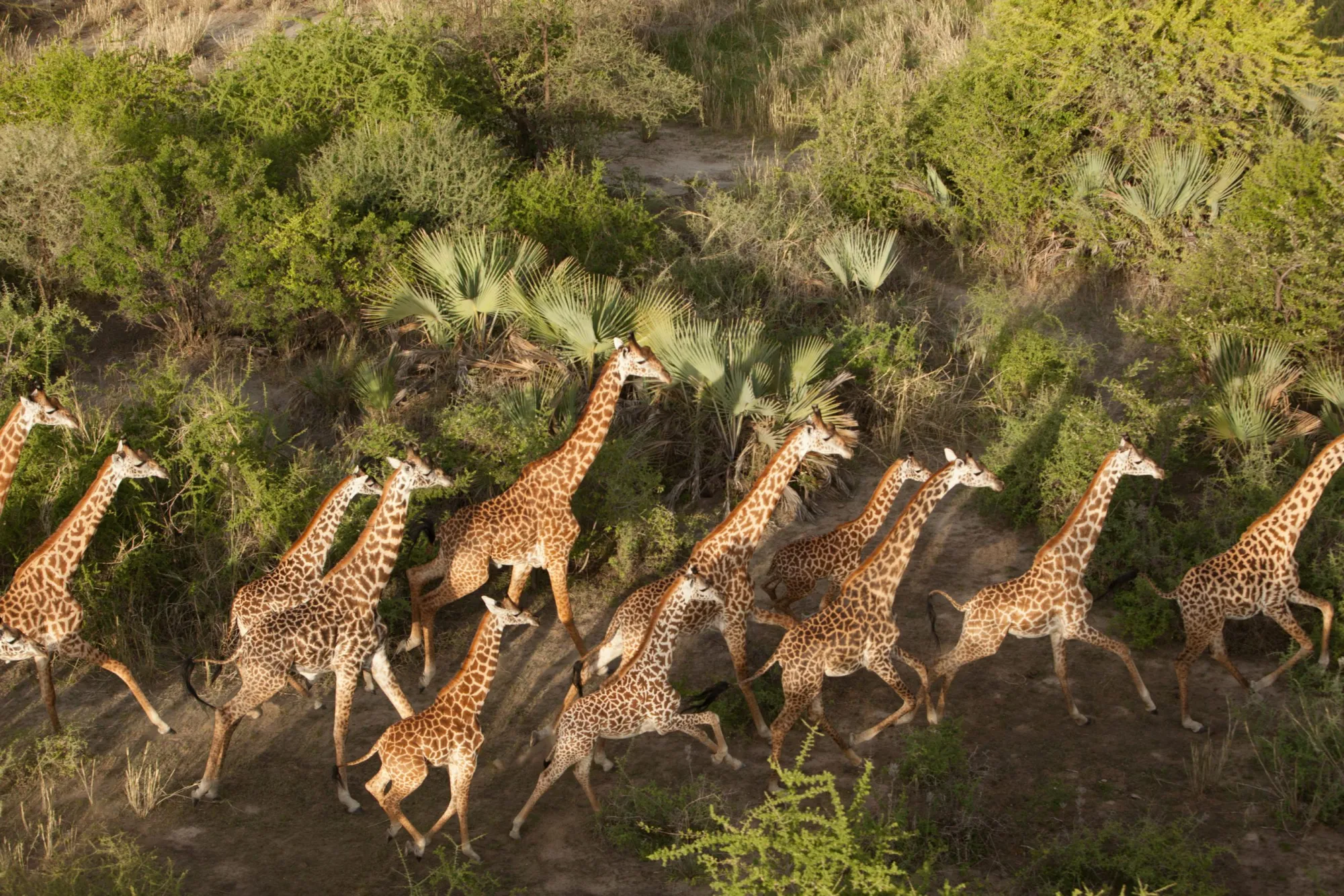 Tanzania
