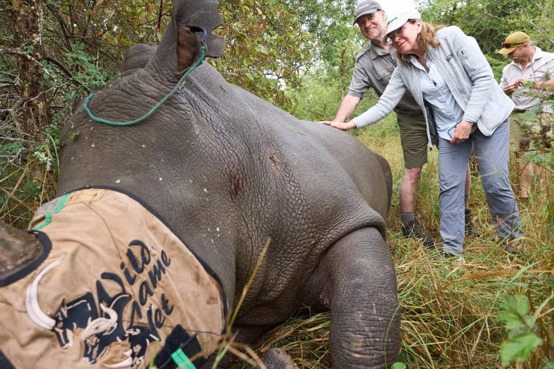Safari with Purpose: A day out protecting the rhinos