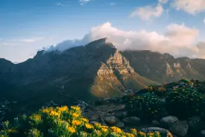 Cape To Kruger