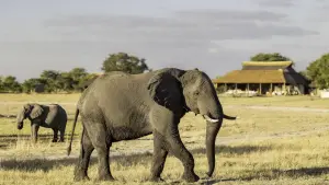 A Journey Through Southern Africa