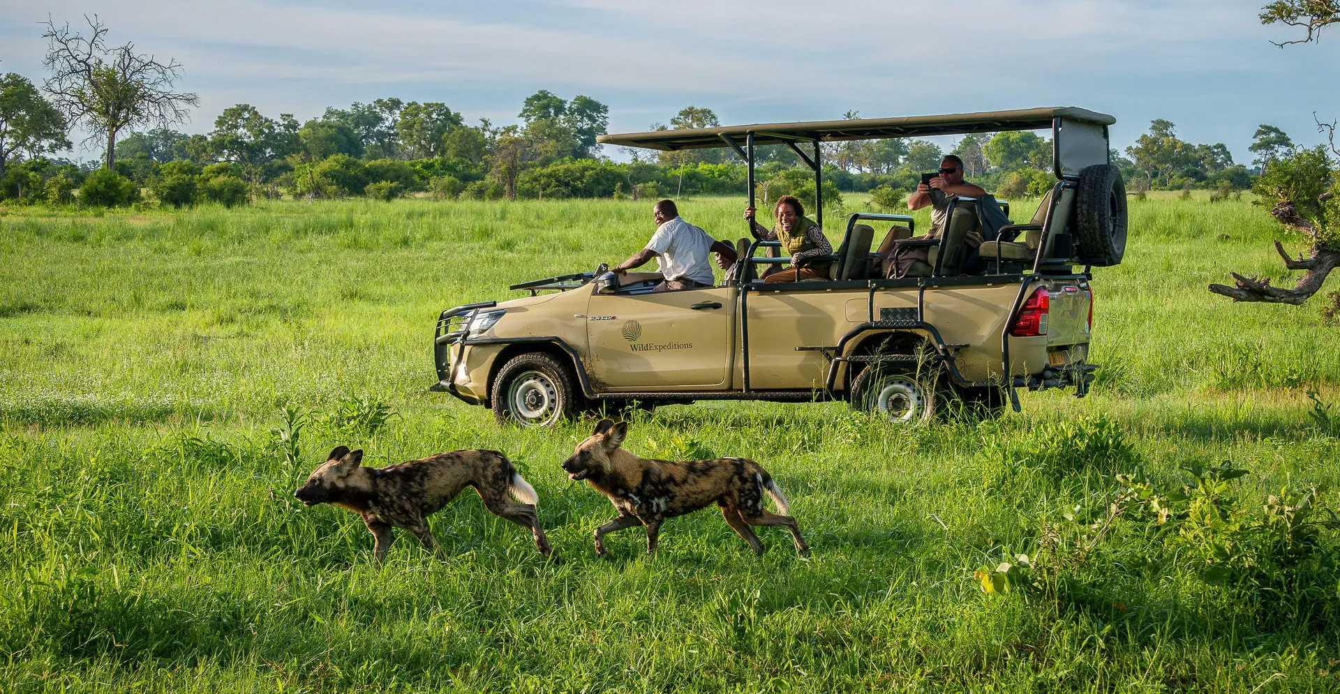 How Do I Avoid a Poor Safari?
