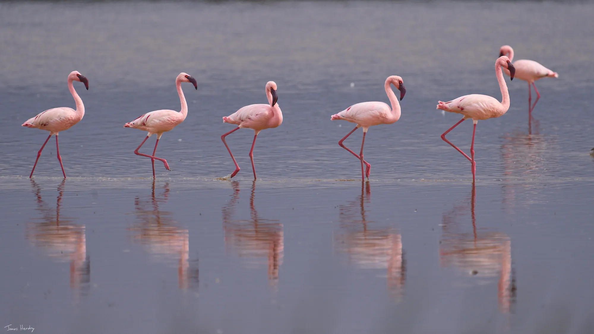 Three locations in Out of Africa country