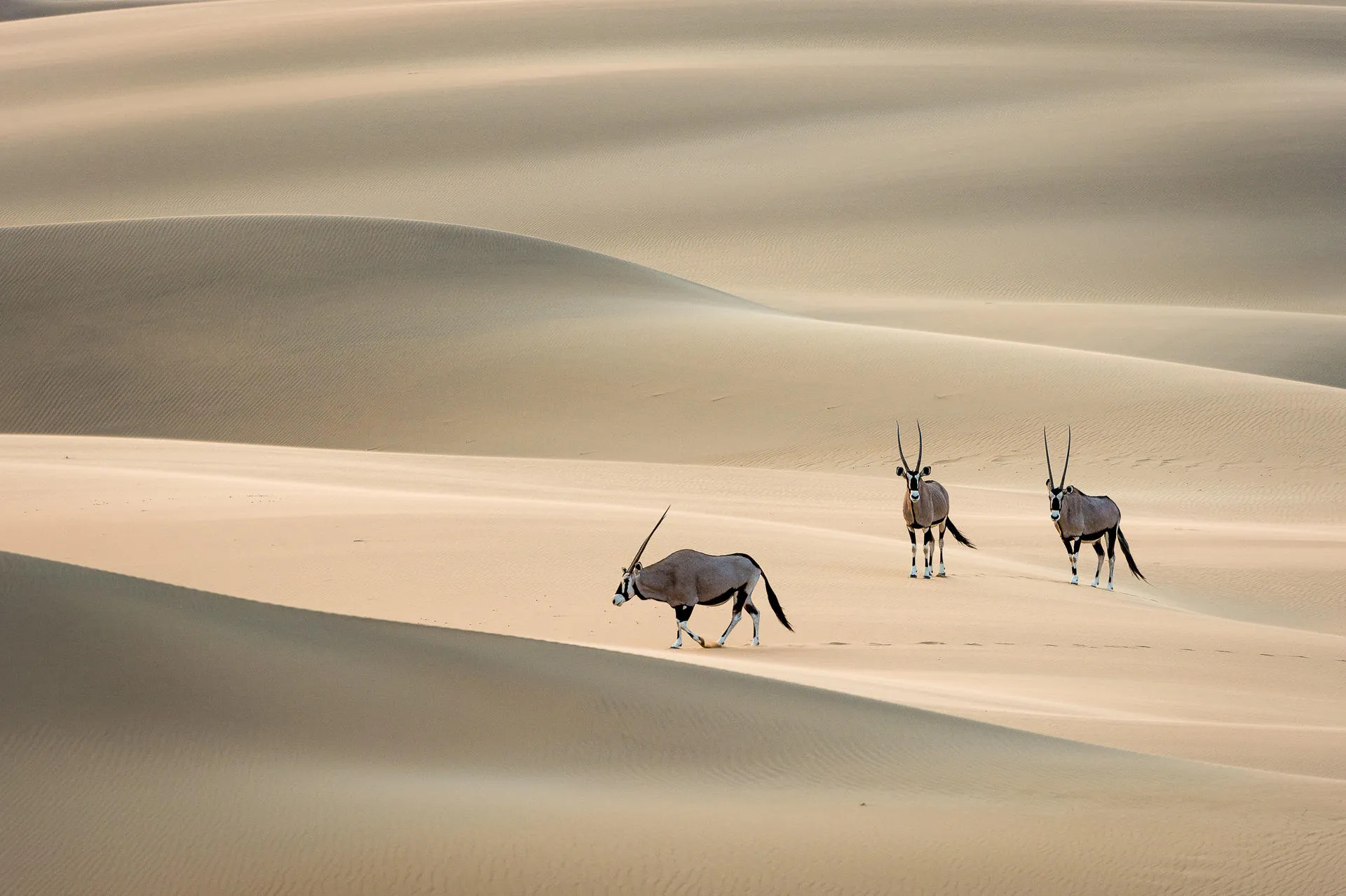Namibia