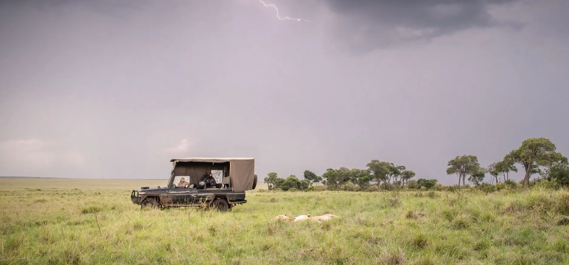 How Do I Choose a Safari Guide?