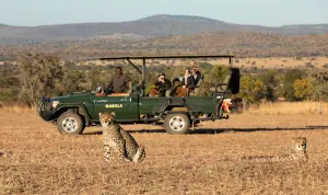 Into Mabula