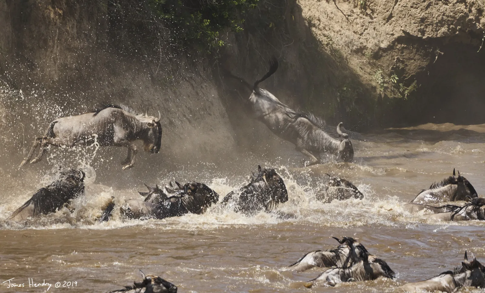 The Ultimate Kenya Migration Safari