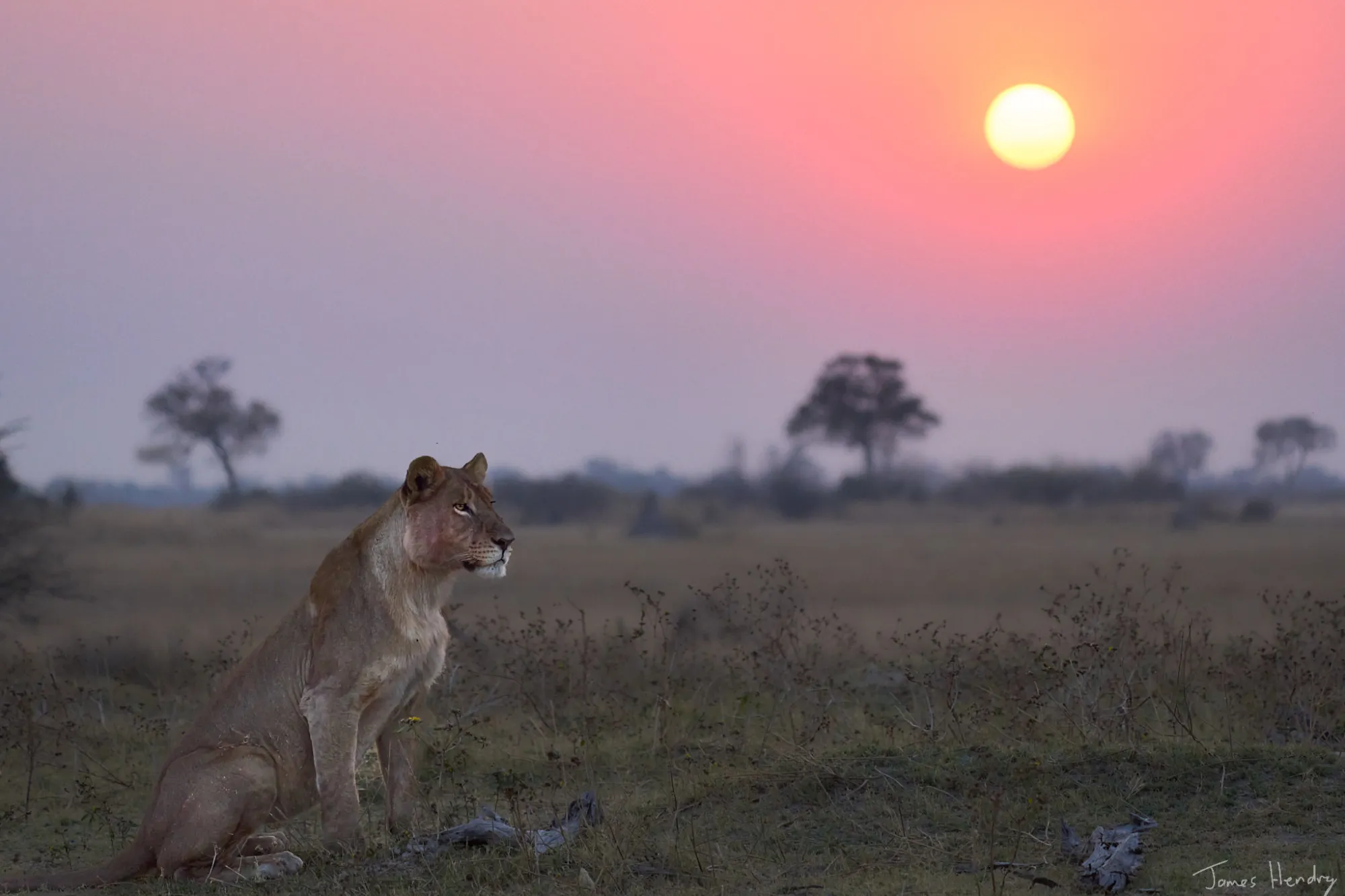 Botswana