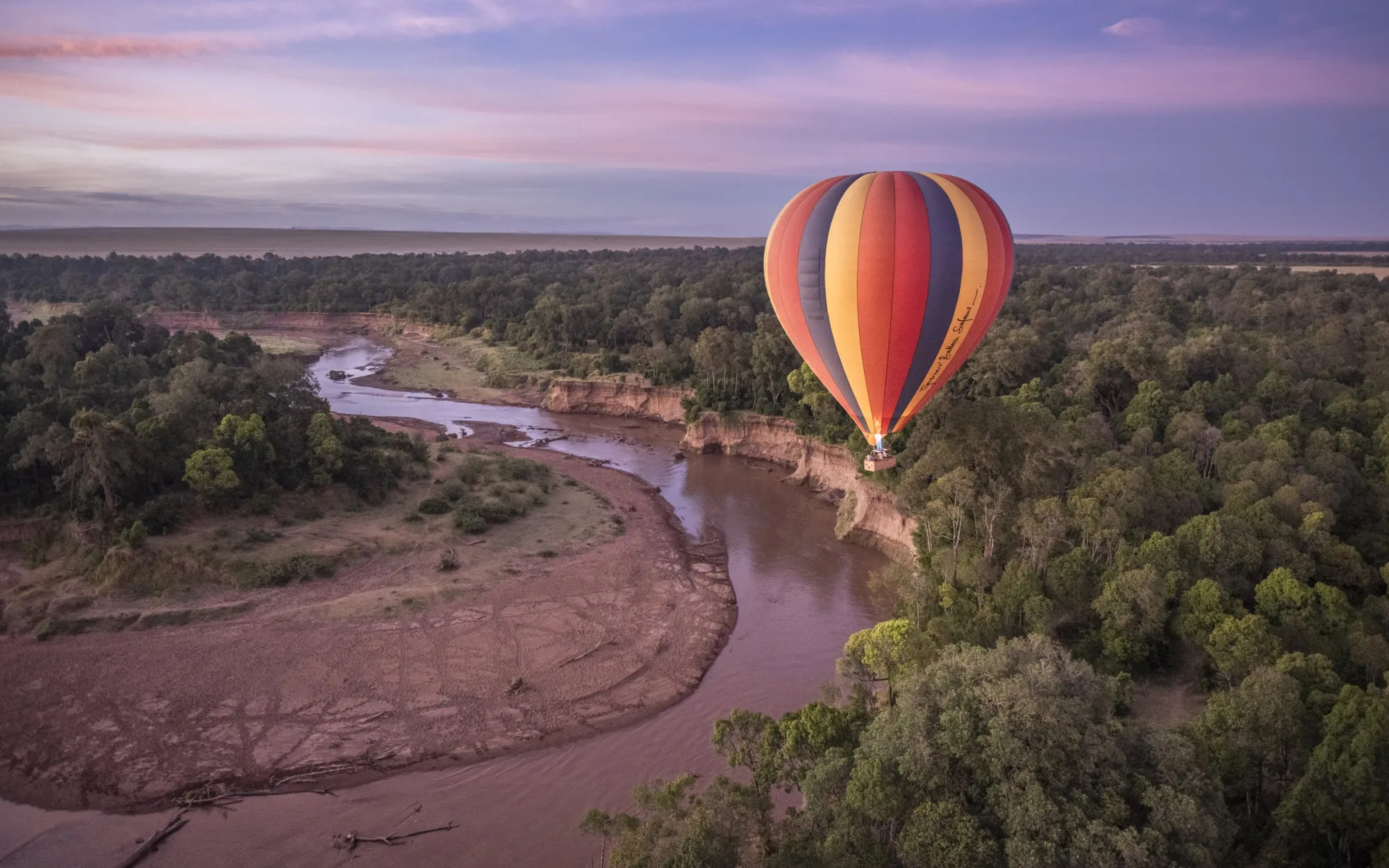 Small vs large safari operators: How to compare