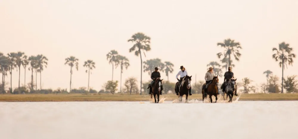 Okavango Wild Ride