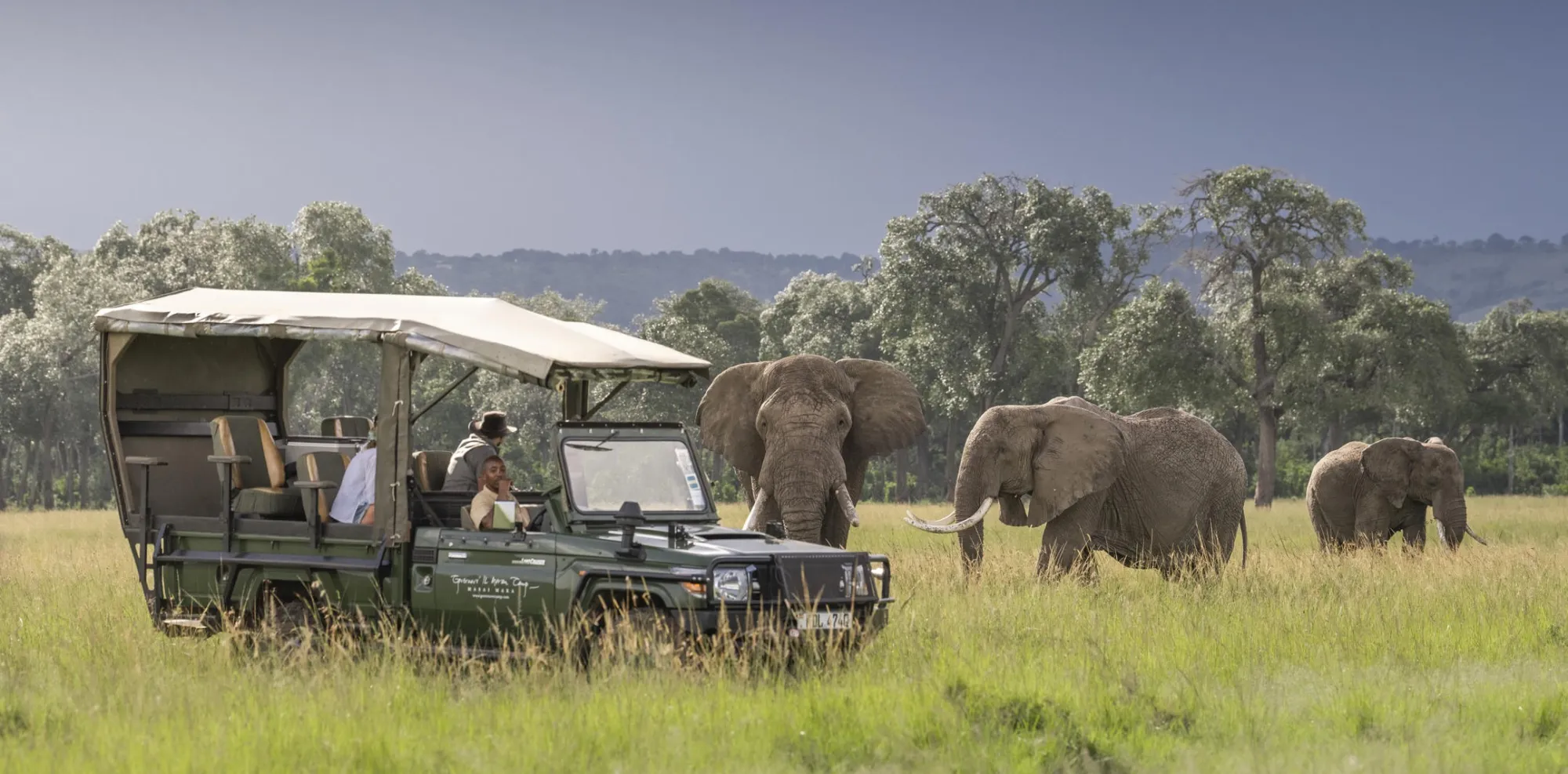 How to choose a tailor-made safari operator